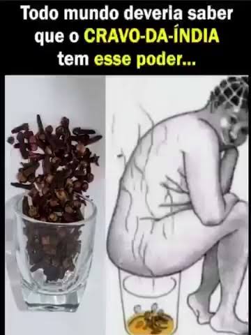 O Segredo do Cravo da Índia