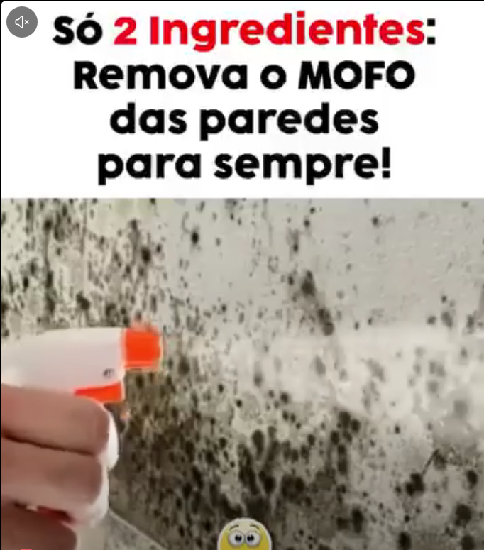 Como remover mofo das paredes