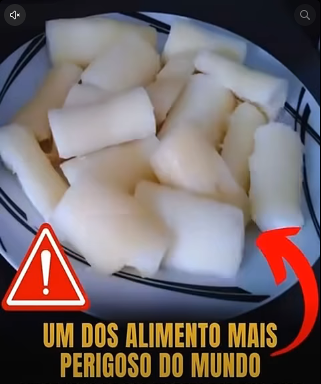 Mandioca