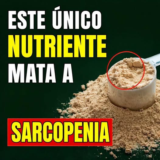 Nutriente nº 1 para reverter sarcopenia aos 60