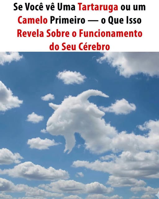O Que a Primeira Figura Revela Sobre Seu Cérebro