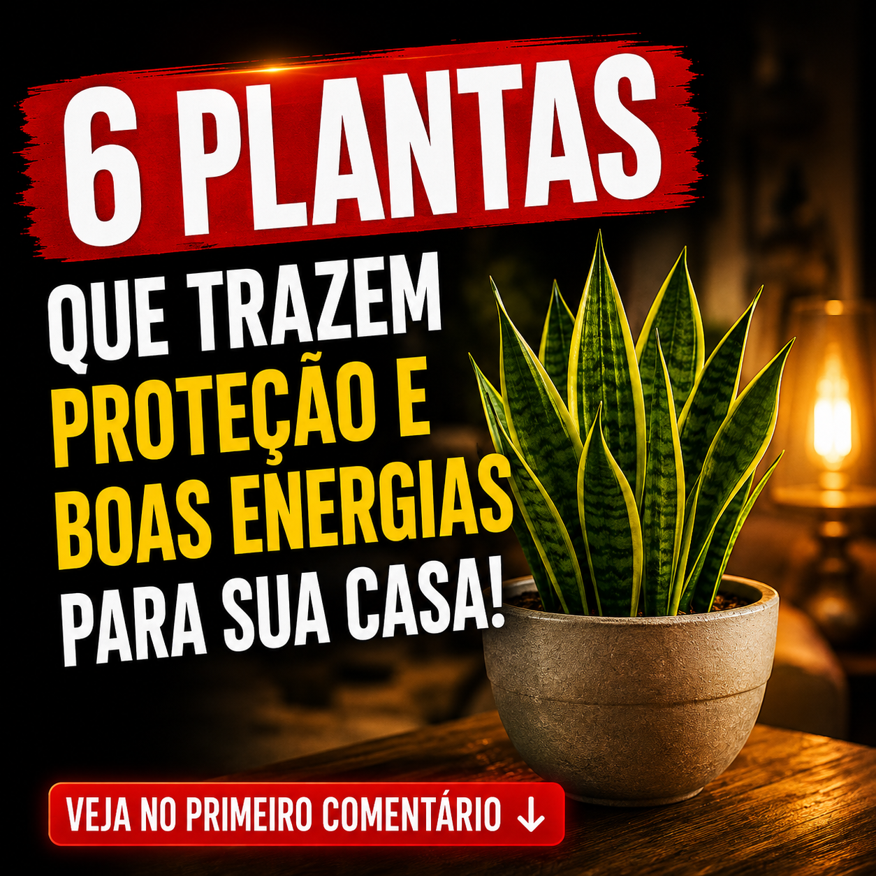 6 Plantas que Trazem Proteção